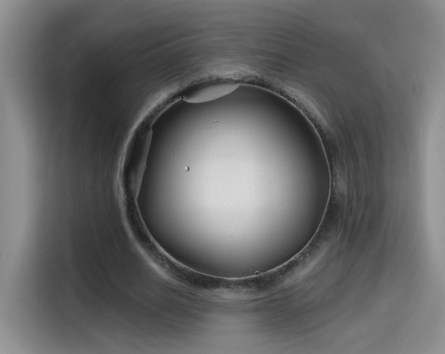 X0000115690630200911191114