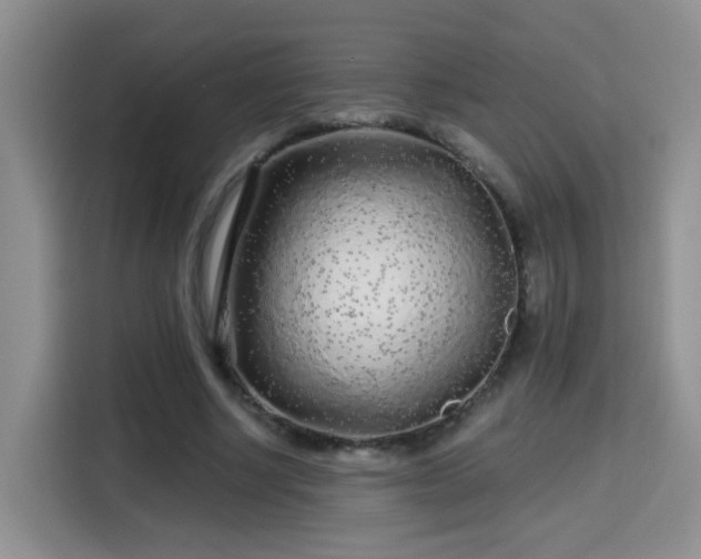 X0000115690634200911191115