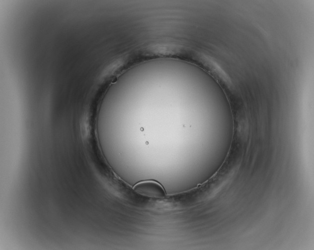 X0000115690635200911191115