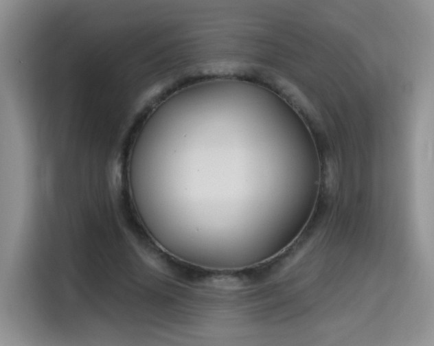 X0000115690636200911191115