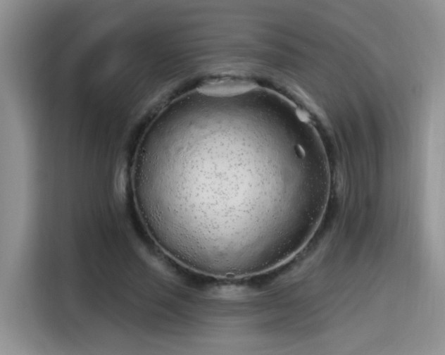 X0000115690637200911191115