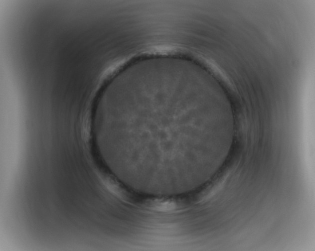 X0000115690640200911191115