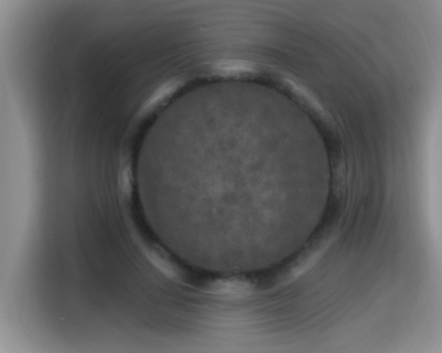 X0000115690644200911191115