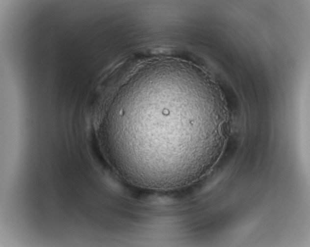 X0000115690648200911191115