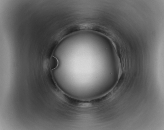 X0000115690649200911191115