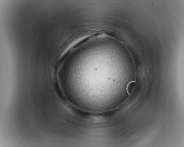 X0000115690650200911191115