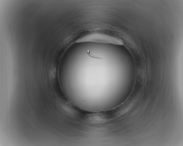 X0000115690652200911191115