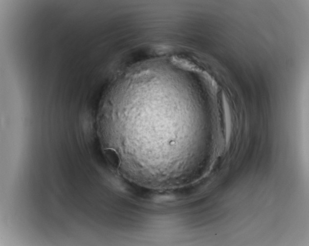 X0000115690653200911191115