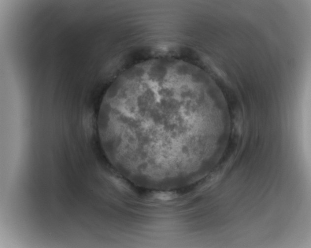 X0000115690659200911191115