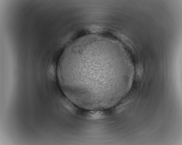 X0000115690667200911191115