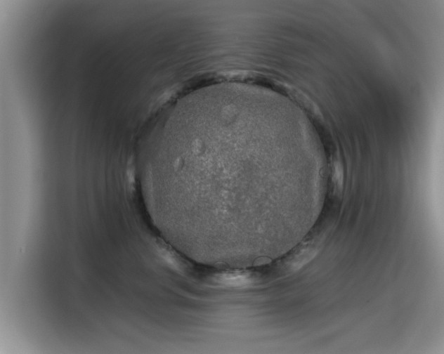 X0000115690668200911191115