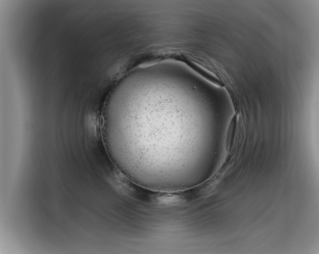 X0000115690669200911191115