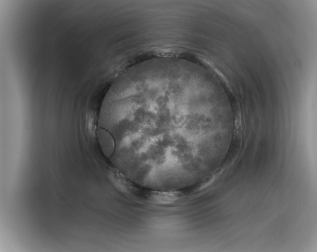 X0000115690671200911191115