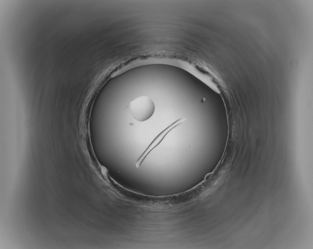 X0000115690673200911191114