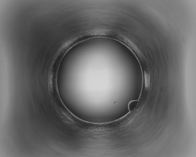 X0000115690675200911191114