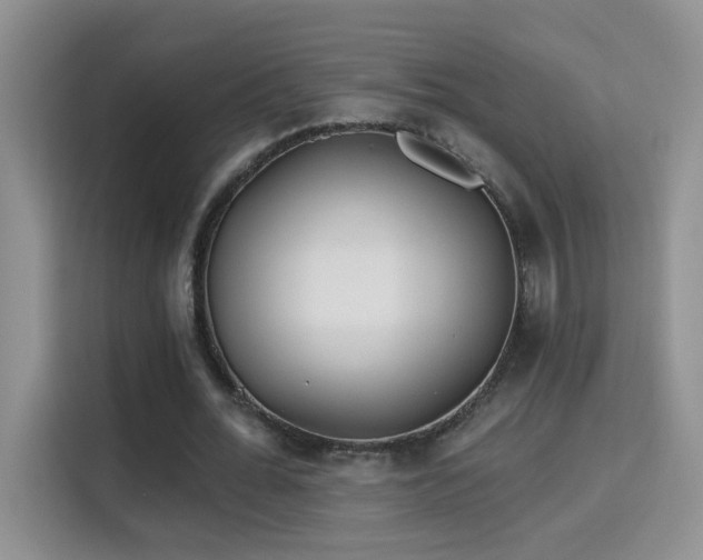 X0000115690676200911191114