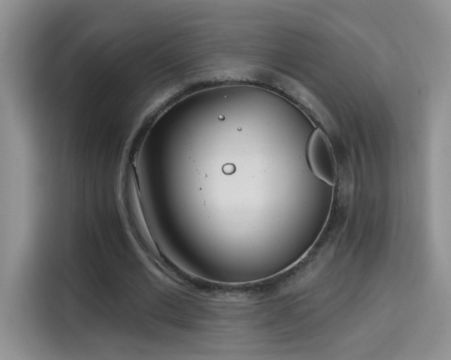 X0000115690677200911191114