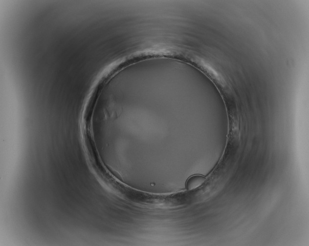 X0000115690678200911191114