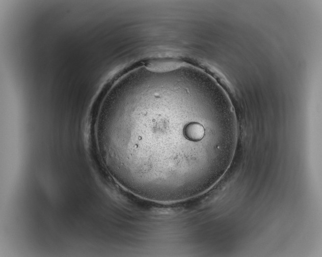 X0000115690679200911191114