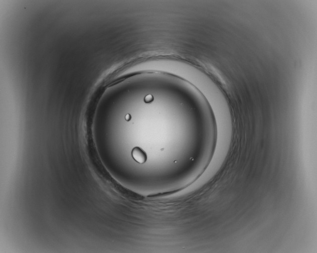 X0000115690684200911191114