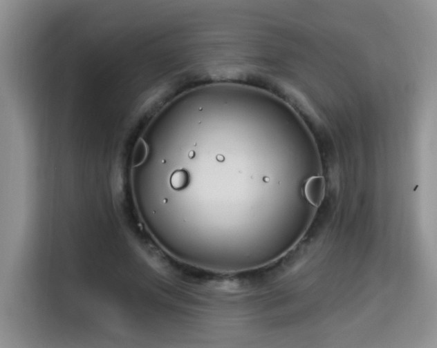 X0000115690687200911191114