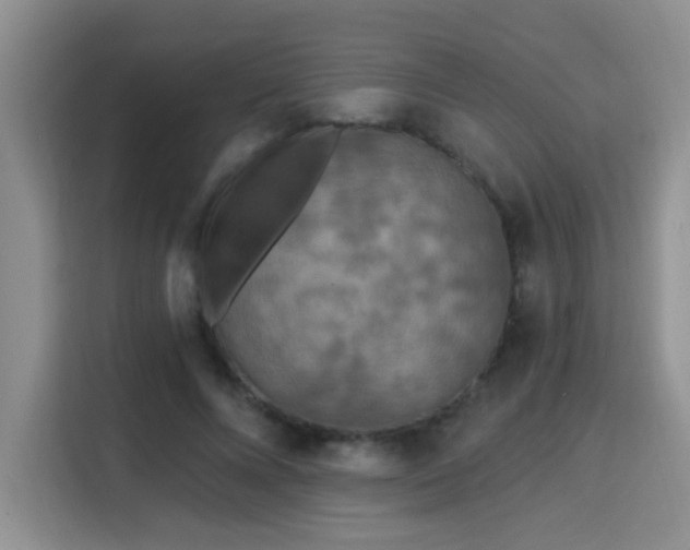 X0000115690688200911191114