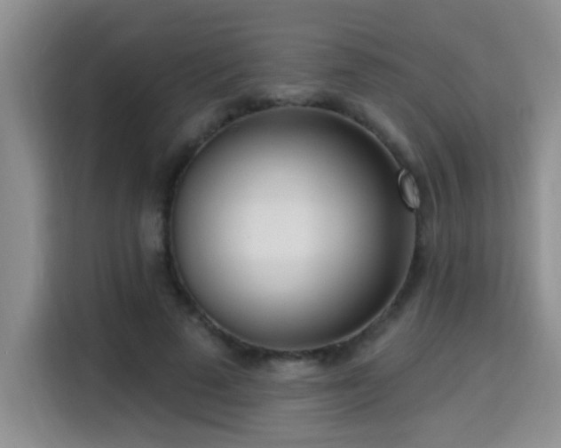 X0000115690689200911191114