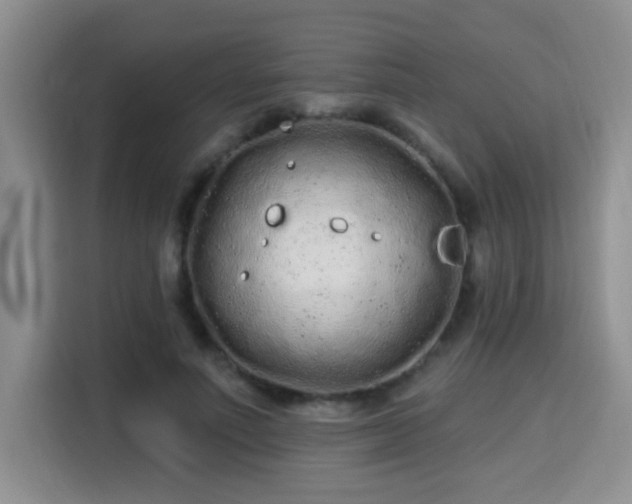 X0000115690691200911191114