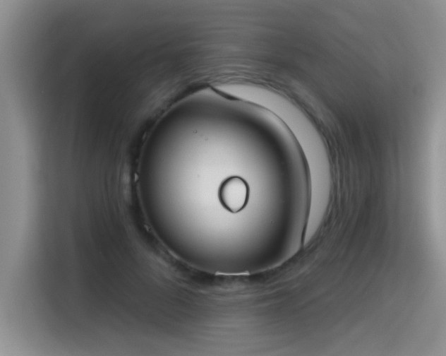 X0000115690696200911191114