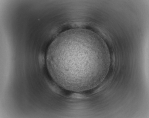 X0000115690699200911191114