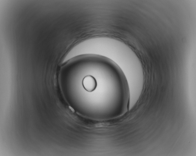 X0000115690700200911191114