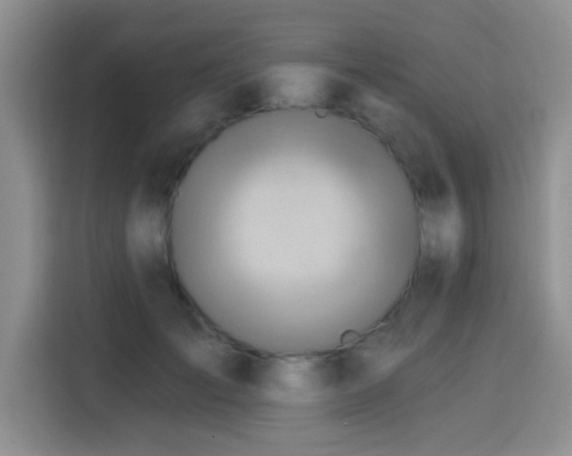 X0000115690701200911191114