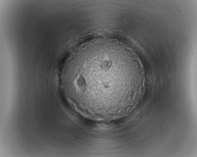 X0000115690703200911191114