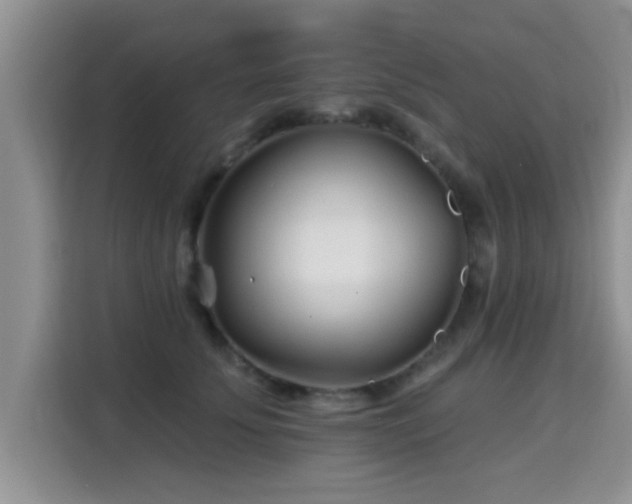 X0000115690707200911191114