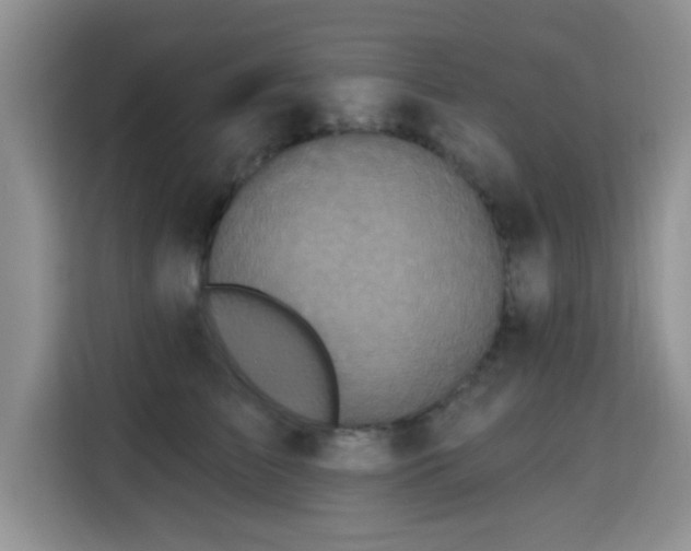 X0000115690709200911191114