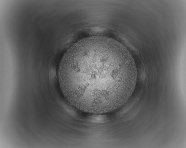 X0000115690711200911191114