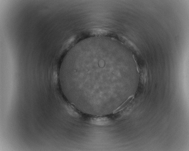 X0000115690716200911191114