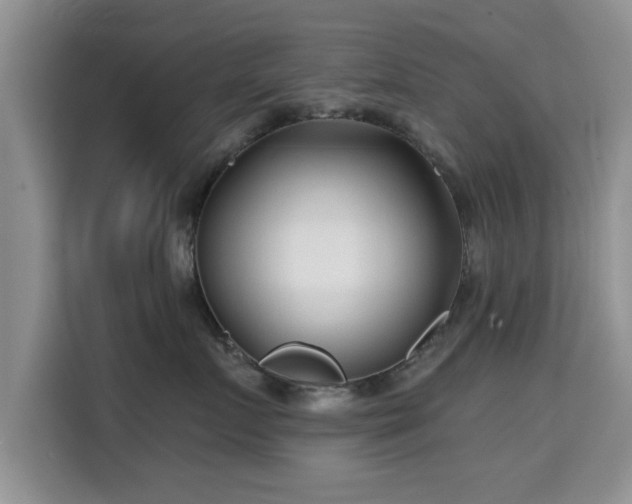 X0000115690719200911191114