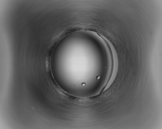 X0000115690720200911191114