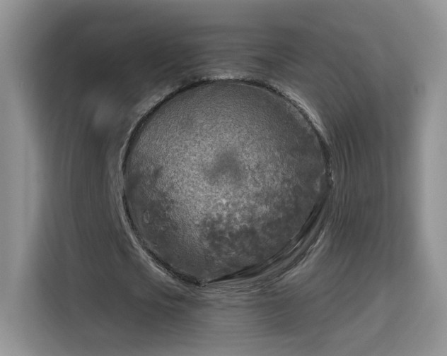 X0000115690721200911191113