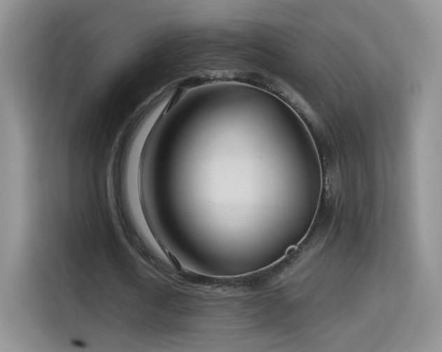 X0000115690722200911191113