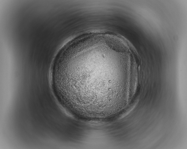 X0000115690725200911191113