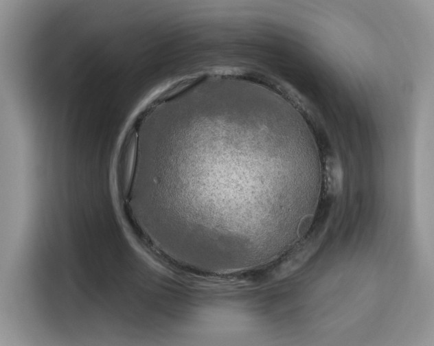 X0000115690726200911191113