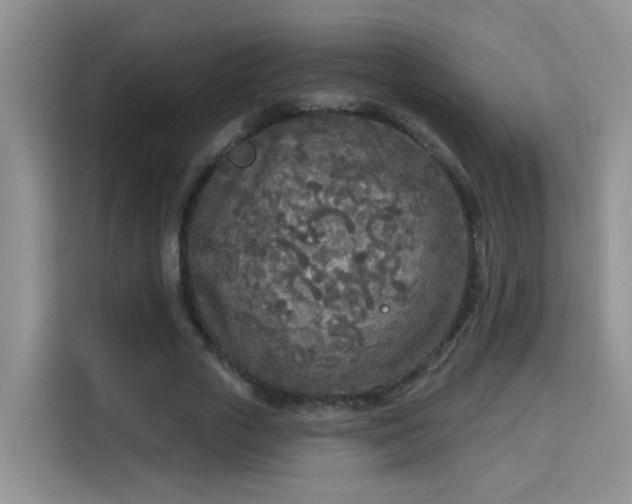 X0000115690729200911191113