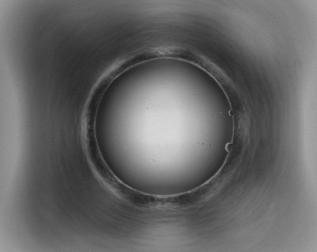 X0000115690730200911191113