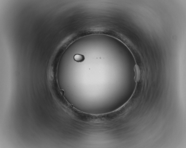 X0000115690731200911191113