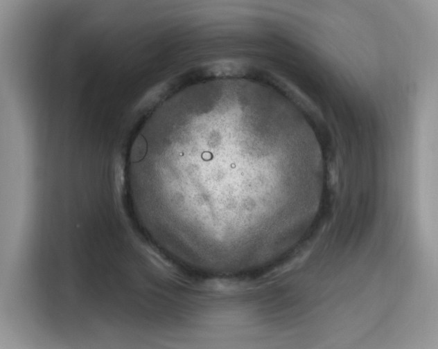 X0000115690733200911191113