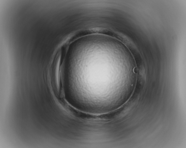 X0000115690734200911191113