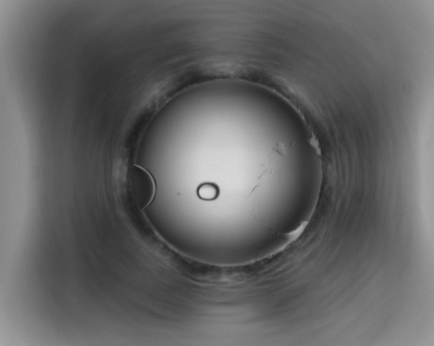 X0000115690739200911191113