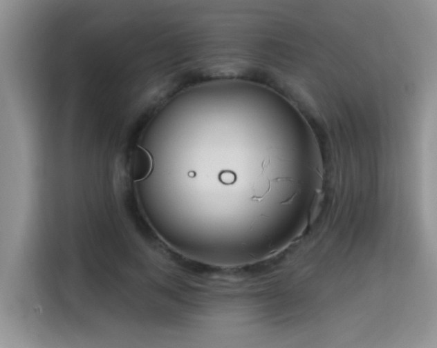 X0000115690743200911191113